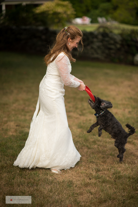 Jamestown_wedding_white_horse_trevor_holden_photography_wedding_photographer-47