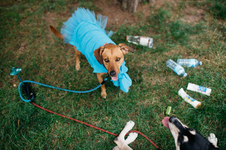 rocky_hill_school_wedding_trevor_holden_photography_photographer_rhode_island-15