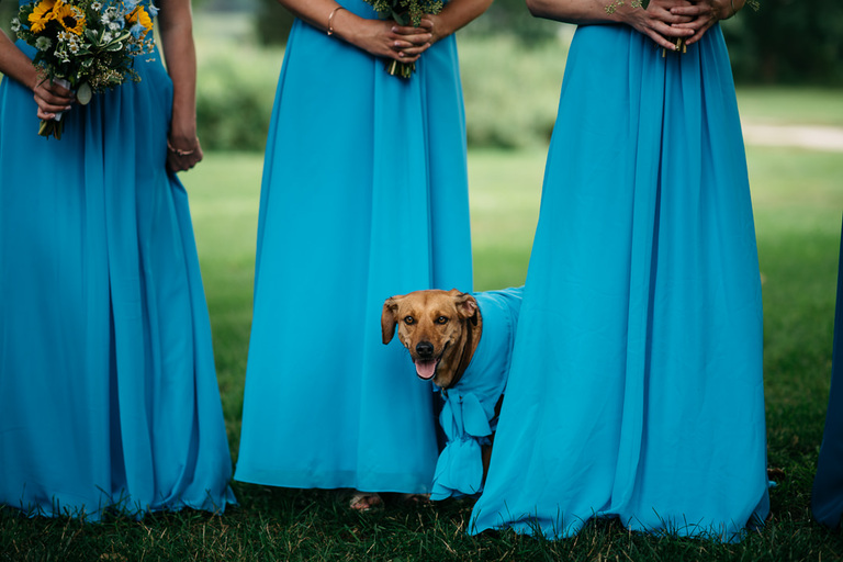 rocky_hill_school_wedding_trevor_holden_photography_photographer_rhode_island-25