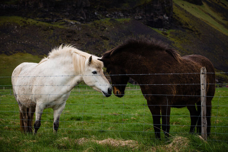 iceland_trevor_holden_photography_landscape_photographer-10