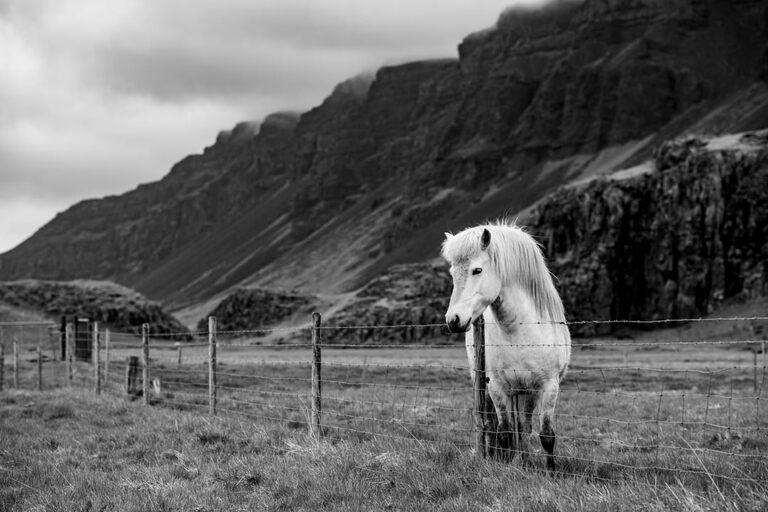 iceland_trevor_holden_photography_landscape_photographer-11